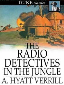      The Radio Detectives