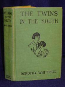      The Twins in the South