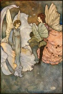      Fairies I Have Met