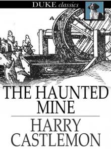      The Haunted Mine