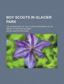      Boy Scouts in Glacier Park