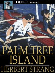      Palm Tree Island