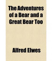      Adventures of a Bear, and a Great Bear Too