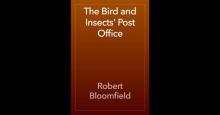      Bird and Insects' Post Office