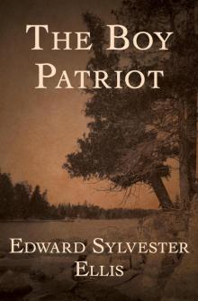      Boy Patriot