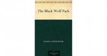      The Black Wolf Pack