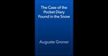      The Case of the Pocket Diary Found in the Snow