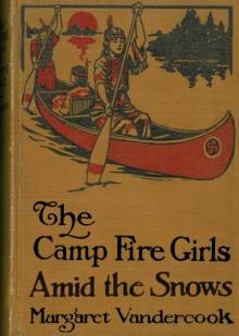      The Camp Fire Girls in After Years