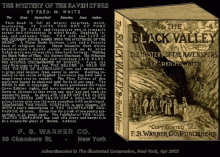      The Mystery of the Ravenspurs