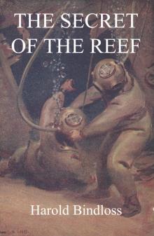      The Secret of the Reef