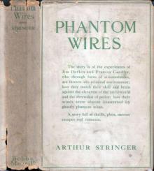      Phantom Wires: A Novel
