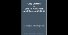      City Crimes; Or, Life in New York and Boston