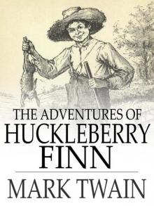 the adventures of huckleberry finn story
