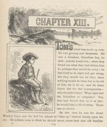      The Adventures of Tom Sawyer, Part 8.