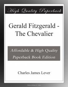      Gerald Fitzgerald, the Chevalier: A Novel