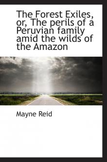      The Forest Exiles: The Perils of a Peruvian Family in the Wilds of the Amazon