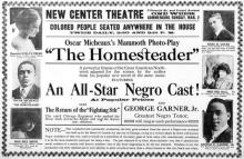      The Homesteader: A Novel