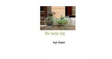      The Secret City