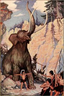      The Trail Book