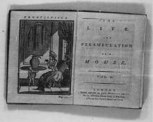      The Life and Perambulations of a Mouse