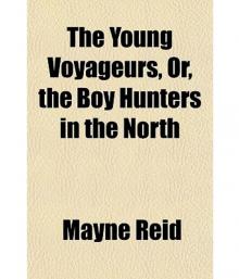      The Young Voyageurs: Boy Hunters in the North