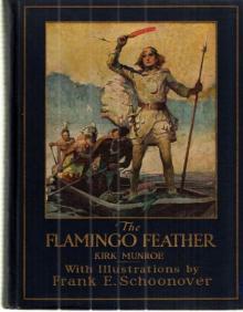      The Flamingo Feather