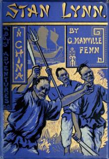      Stan Lynn: A Boy's Adventures in China