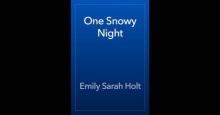      One Snowy Night
