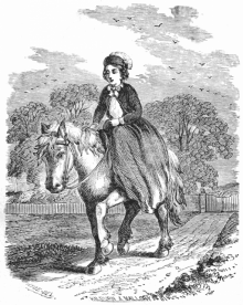      Minnie's Pet Horse