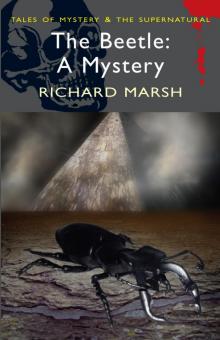      The Beetle: A Mystery