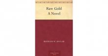      Raw Gold: A Novel