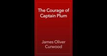      The Courage of Captain Plum