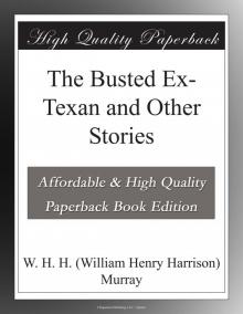      The Busted Ex-Texan, and Other Stories