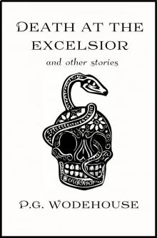      Death at the Excelsior, and Other Stories
