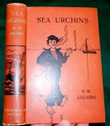      Sea Urchins