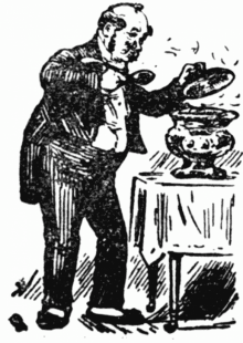      Mr. Punch's Irish Humour in Picture and Story