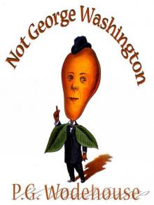      Not George Washington — an Autobiographical Novel