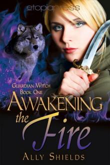      Awakening the Fire