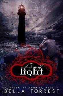      A Shadow of Light