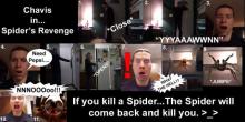      Spiders Revenge