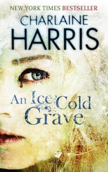      An Ice Cold Grave