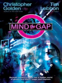      Mind the Gap