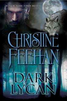      Dark Lycan