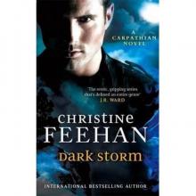      Dark Storm