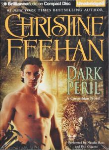      Dark Peril
