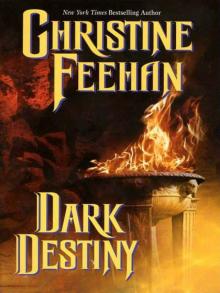      Dark Destiny