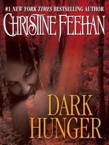      Dark Hunger