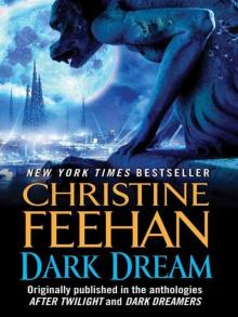      Dark Dream
