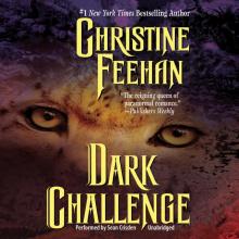      Dark Challenge