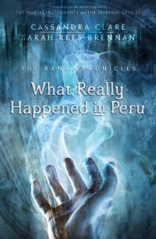      What Really Happened in Peru